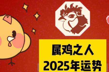 2025年登记领证的好日子属龙和鸡
