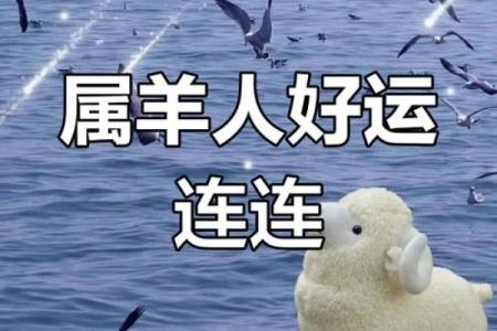 2003年属羊人的运势 2003年属羊人2023年运势解析财运事业感情全揭秘