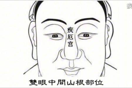 夫妻宫左辅化科_夫妻宫左辅化科入官禄宫