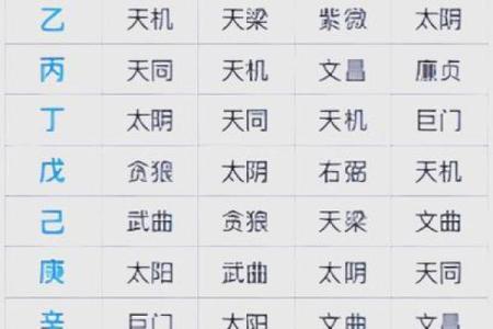 2025年2月18日寅时男命紫微斗数全解盘