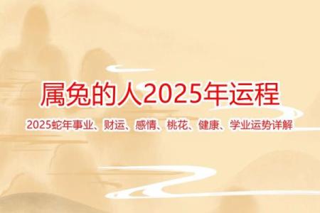 2024属兔人的全年运势 2024属兔人全年运势解析财运事业爱情全指南