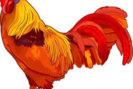 1981年属鸡2024年运势完整版_1981年属鸡2024年运势详解事业财运健康全解析