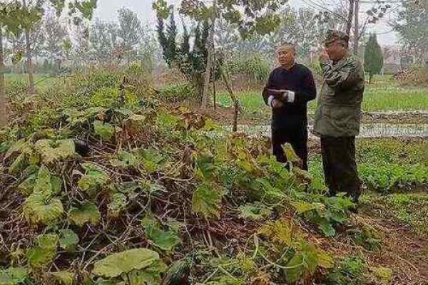 4月25日能动土吗