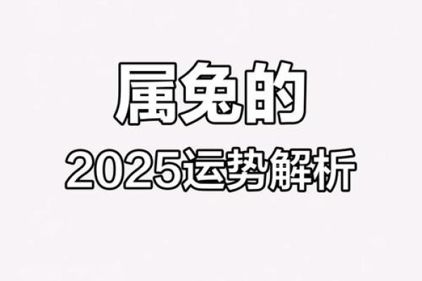 属兔今年多大年纪2025年_2025年属兔人年龄详解今年你多大