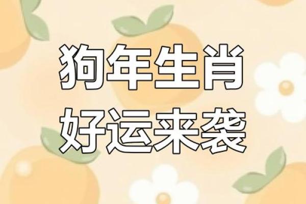 属狗2025年运势及运程每月运程狗_2025年属狗每月运势详解全年运程预测与吉凶分析