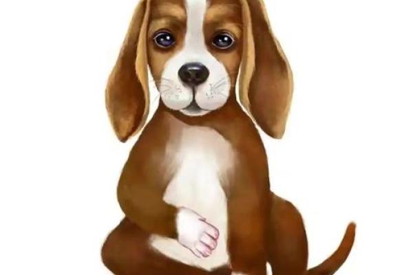 属狗2025年运势及运程每月运程狗_2025年属狗每月运势详解全年运程预测与吉凶分析