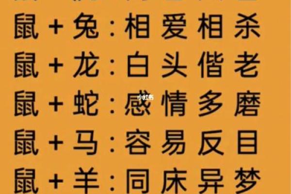 龙女兔男属相婚配好吗_龙女兔男属相婚配好吗解析生肖配对最佳组合