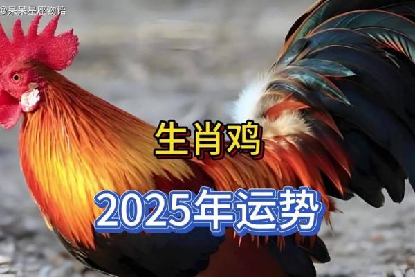 93年2025年属鸡人的全年运势_1993年2025年属鸡人的全年运势