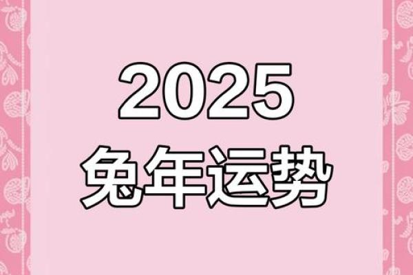 属兔人2021年下半年运势咋样