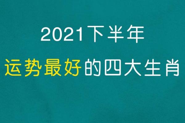 属兔人2021年下半年运势咋样
