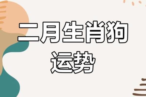 2025年属狗每月运势 2025年属狗每月运势详解全年运程大揭秘
