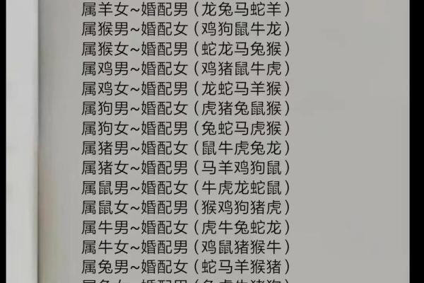 男属兔女属龙婚配合适吗_男属兔女属龙婚配合适吗生肖配对解析