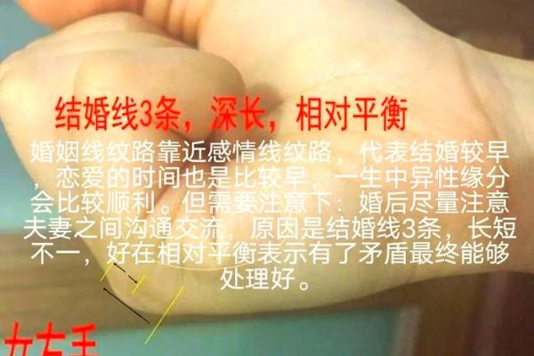 免费姻缘测试揭秘你的爱情运势与最佳配对