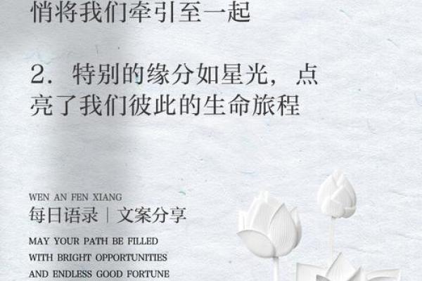 一定是特别的缘分 特别的缘分命中注定的奇妙相遇