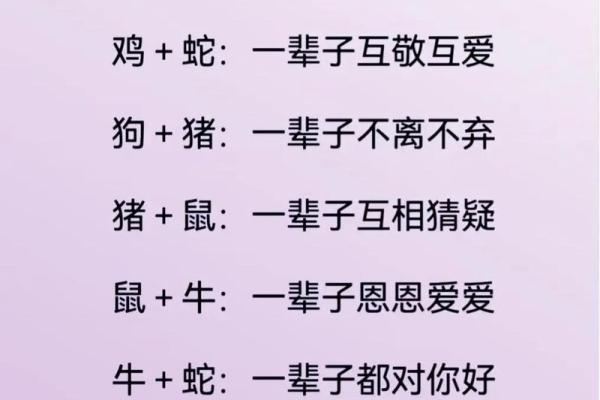 左支右绌打一生肖