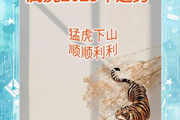 属虎人2022年全年运势