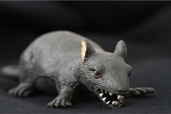 伶牙俐齿的动物是什么生肖