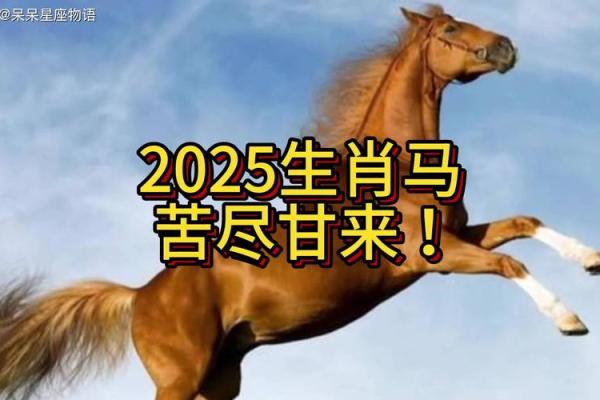 02年属马2025运势及运程详解 2025年属马运势详解最新完整版