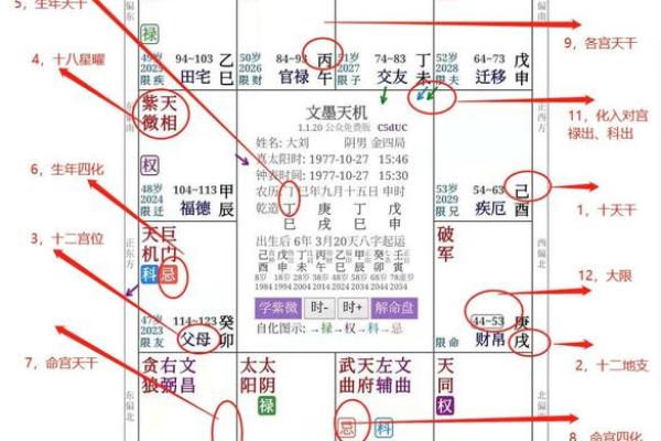 2025年3月20日丑时男命紫微斗数全解盘