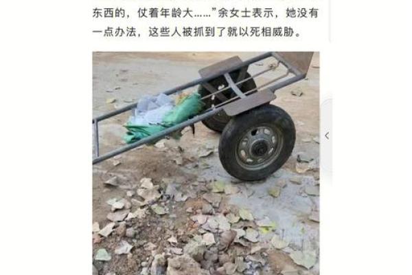 天下大乱打一生肖(天下大乱打一生肖动物)