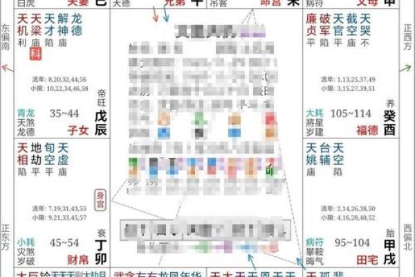 2025年2月20日子时女命紫微斗数全解盘