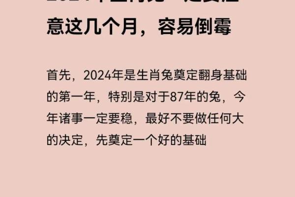 2025年属兔运势详解财运事业感情全面解析_1739580510