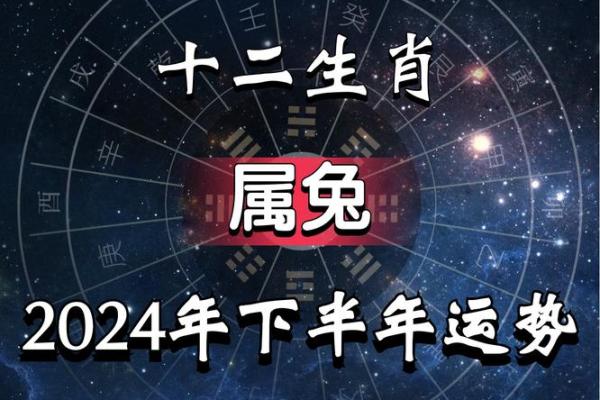 2025年属兔运势详解财运事业感情全面解析_1739580510