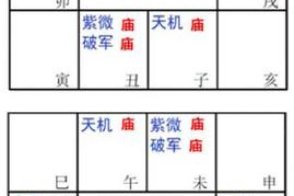 2025年3月26日子时男命紫微斗数全解盘