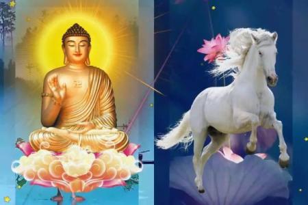 属马的今年多大了岁数表1978_2023属马年龄对照表1978年出生今年多大一表看懂