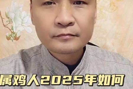 1969年属鸡人2025年运势详解财运事业感情全解析