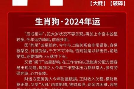 1982年属狗2025年运势如何_1982年属狗2025年运势详解财运事业感情全解析
