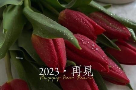 2023年最后一天文案短句