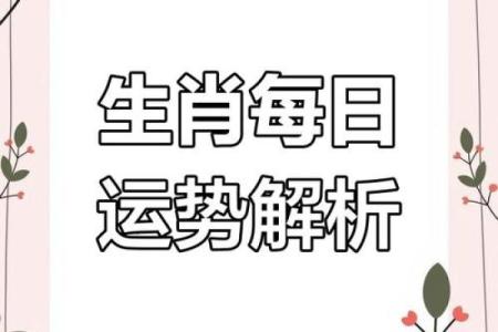 属羊人2026年全年运势详解_属羊人2026年运势详解全年运程大揭秘