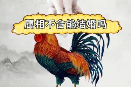 属鸡与属牛的姻缘解析配对指数与幸福秘诀