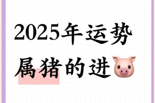 2025年属猪人命运 2025年生肖猪运势 2025年属猪人命运 2025年生肖猪运势
