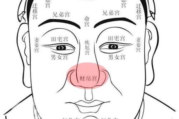 财帛宫化禄入兄弟宫_财帛宫化禄入兄弟宫财富与亲情的神秘联系解析