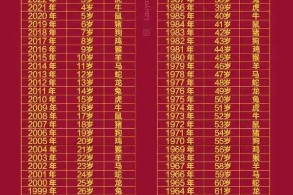 属鸡人2024年运势详解_2024年属鸡人运势详解财运事业感情全解析