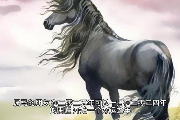 78年属马男2025会添人进口吗 78年属马男2025能否添人进口生肖运势深度解析