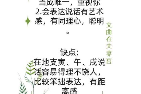 夫妻宫太阴旺 夫妻宫太阴旺文曲陷