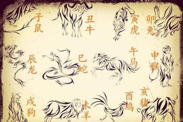 星火燎原是什么生肖