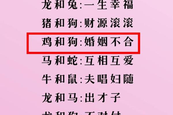 二婚最好的三个属相_二婚命概率最大的3个生肖女