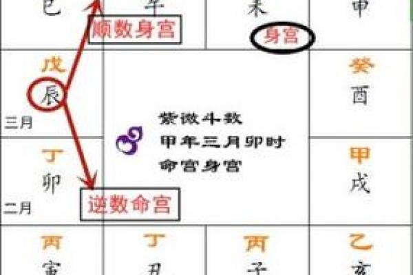 2025年2月19日丑时女命紫微斗数全解盘