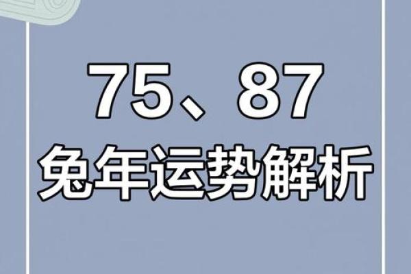2025年属兔人全年运势详解87年兔年运程大揭秘