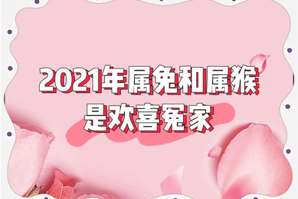 属兔2021年搬家好不(属兔2021年搬家吉日)
