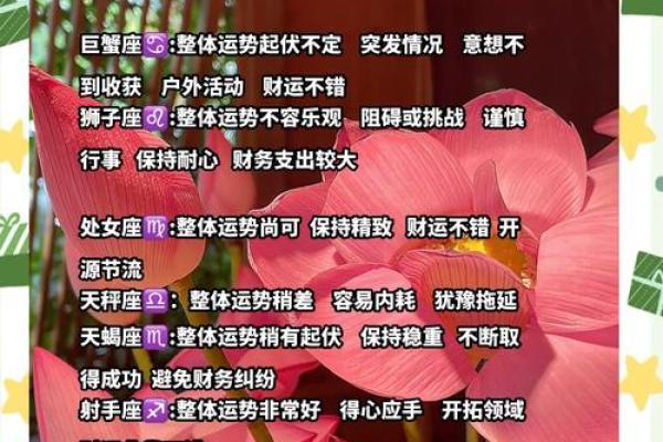 今日星座运势查询_今日星座运势查询12星座每日运势解析与好运指南