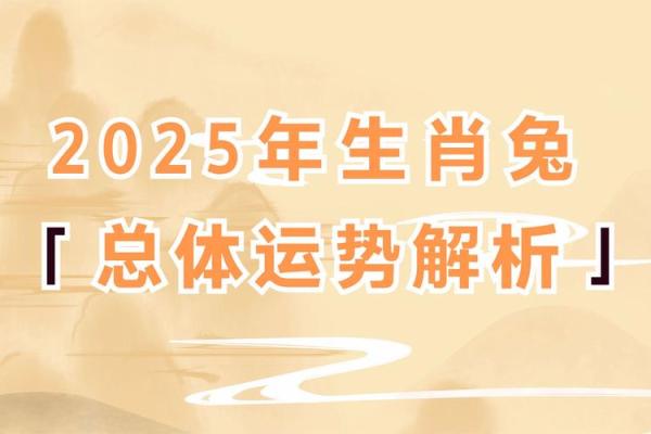 2023年属兔的五行属性_水兔命里缺什么