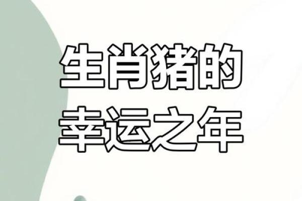83年的猪在2025年的运势怎么样_2025年83年属猪人运势详解财运事业感情全解析