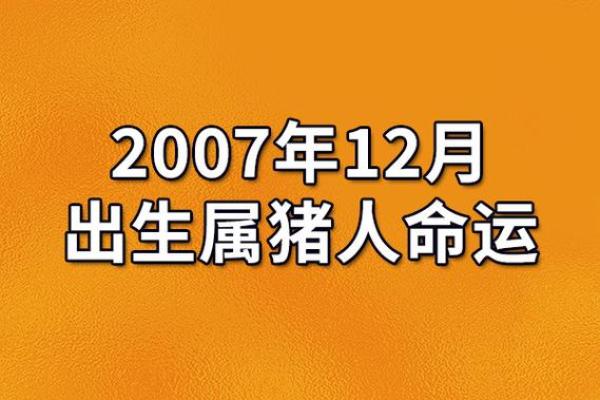 2007年属猪2025年运势详解运程预测与吉凶分析