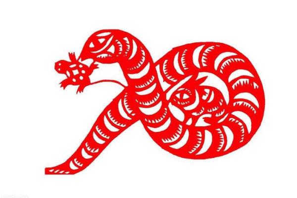 2022年属蛇人的全年运势