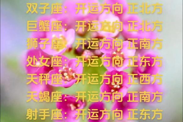 12星座2025年全年运势_十二星座2o21年运势 12星座2025年全年运势_十二星座2o21年运势